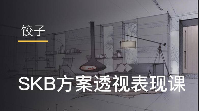 【平面方案】饺子 SKB方案透视表现课丨MP4丨2.57G 20节 199