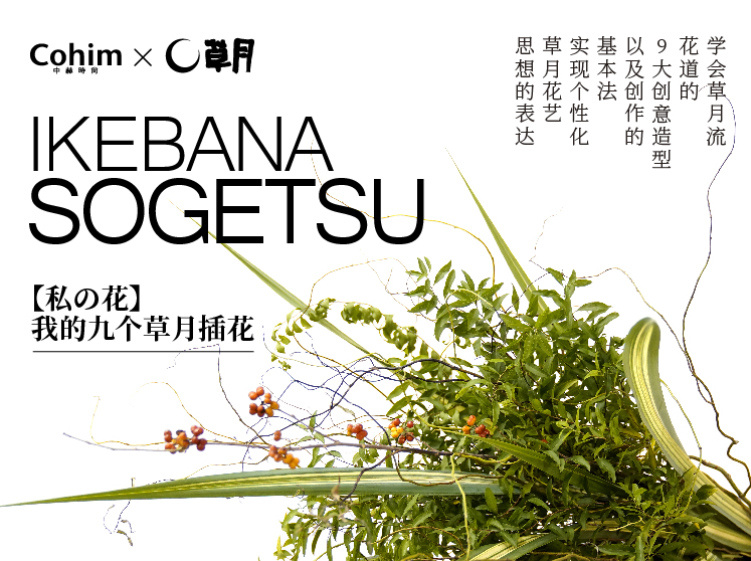 【软装设计】中赫软装 【私の花】我的九个草月插花丨MP4丨4.95G 9节 599