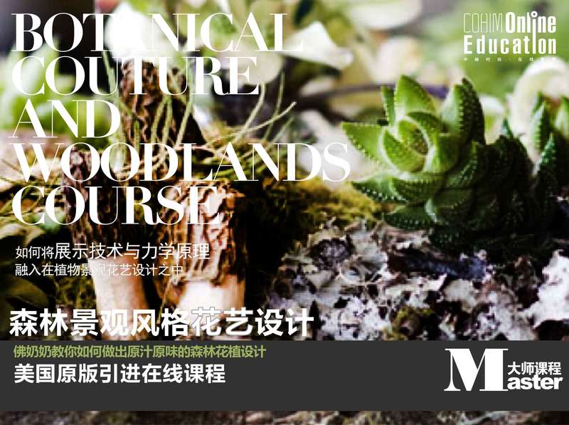 【软装设计】中赫软装 Francoise Weeks：森林景观风格花艺设计美国原版引进在线课程丨MP4丨4.18G 7节 1299
