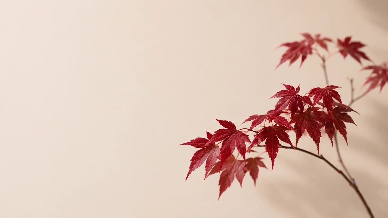 商用排版选图如何平衡留白与主体?
