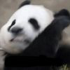 东陵侯