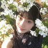 社牛小飞龙