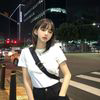 碧纱笼月