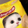 火锅仙子
