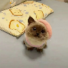 剑影无双