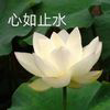裁缝黄
