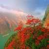 咒语残影